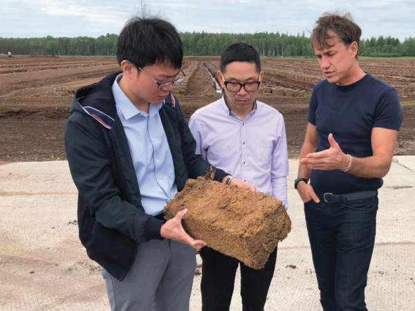 Areapeat-Chinese-partners-reveal-the-secrets-of-peat Our partners from China reveal secrets of peat quality issue