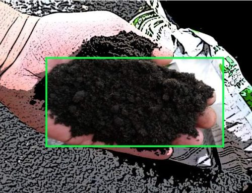 Qué es un medio de cultivo perfecto? PARTE II