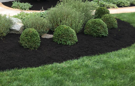 Tree-nursery