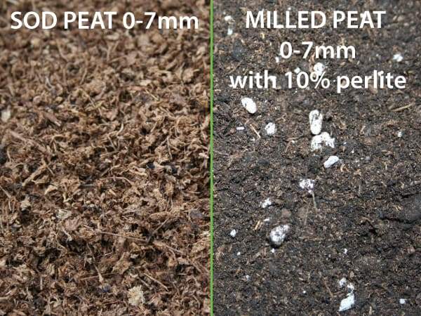 comparing-sod-peat-and-with-perlite